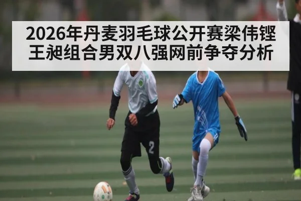 2026年丹麦羽毛球公开赛梁伟铿王昶组合男双八强网前争夺分析