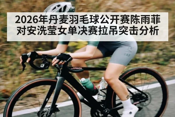 2026年丹麦羽毛球公开赛陈雨菲对安洗莹女单决赛拉吊突击分析